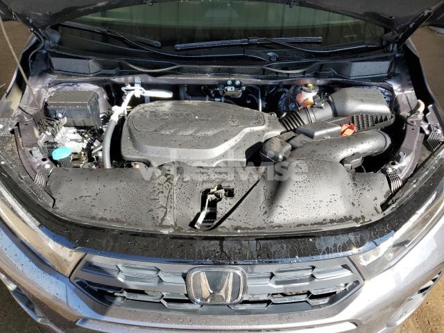 Photo 4 of 2025 HONDA ODYSSEY EXL (VIN 5FNRL6H66SB082542)
