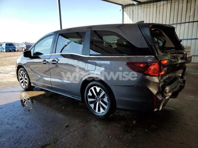 Photo 6 of 2025 HONDA ODYSSEY EXL (VIN 5FNRL6H66SB082542)