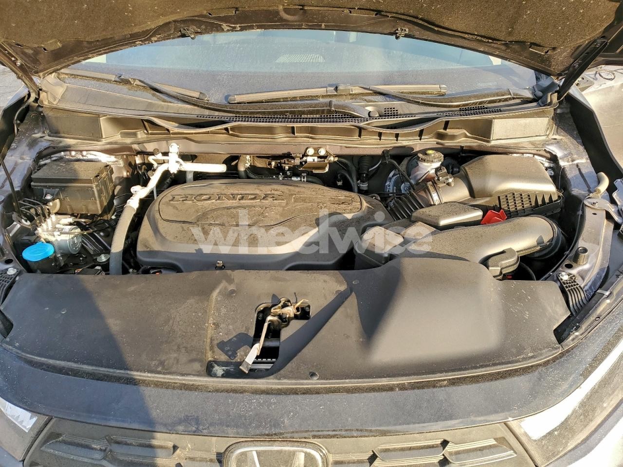 Photo 12 of 2025 HONDA ODYSSEY EXL (VIN 5FNRL6H66SB082878)