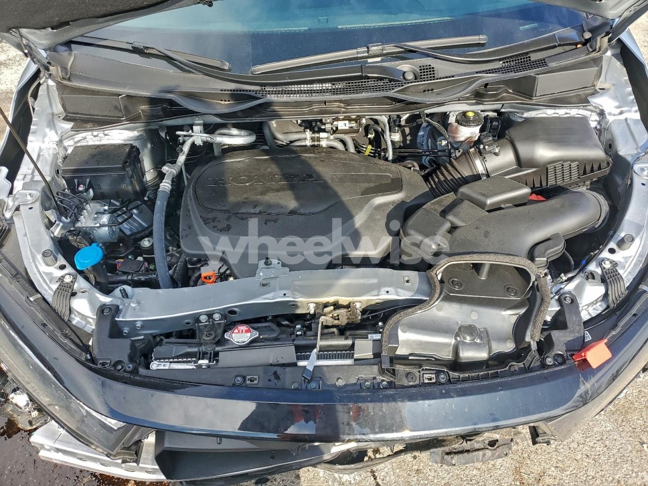 Photo 11 of 2025 HONDA ODYSSEY EXL (VIN 5FNRL6H66SB084596)