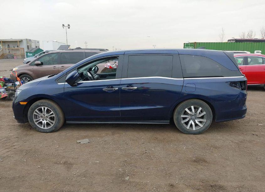 Photo 14 of 2023 Honda Odyssey EX-L (VIN 5FNRL6H67PB041134)