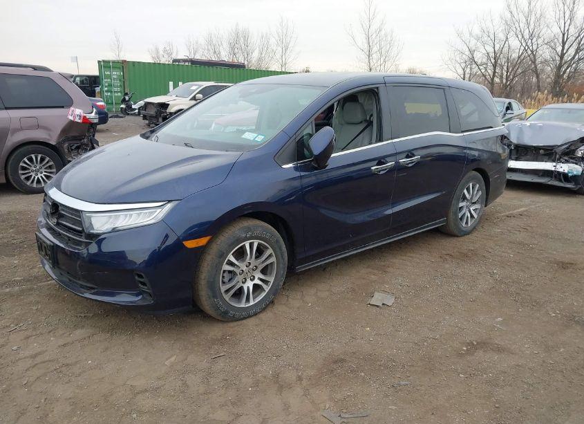 Photo 2 of 2023 Honda Odyssey EX-L (VIN 5FNRL6H67PB041134)