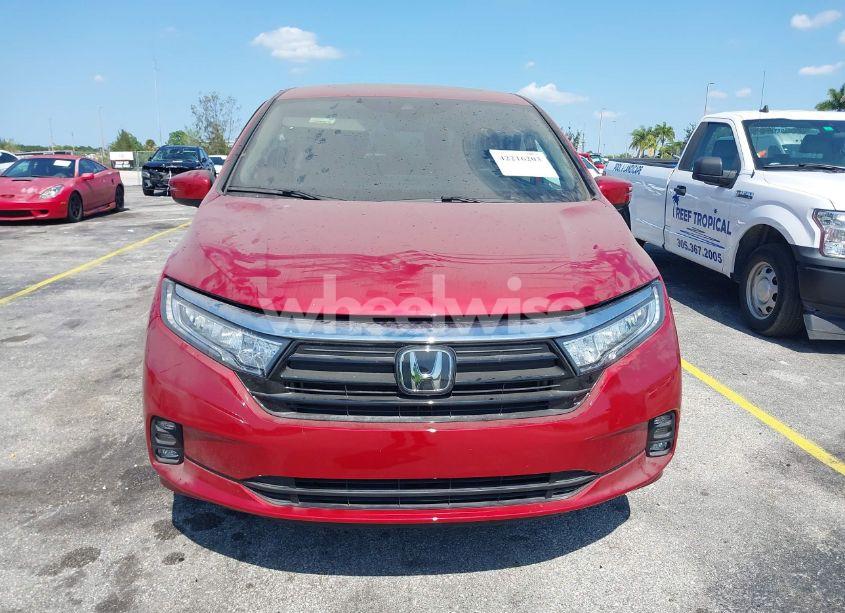 Photo 12 of 2024 Honda Odyssey EX-L (VIN 5FNRL6H67RB012753)