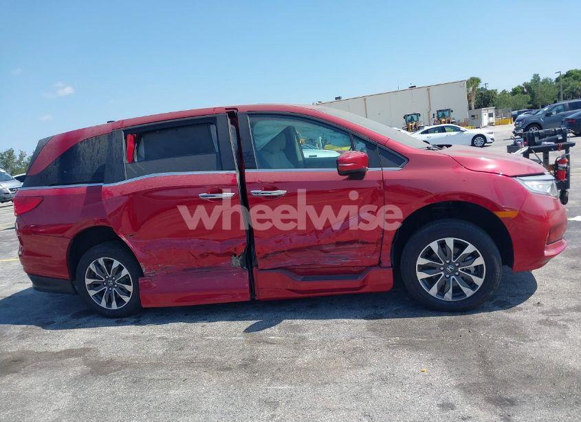 Photo 13 of 2024 Honda Odyssey EX-L (VIN 5FNRL6H67RB012753)