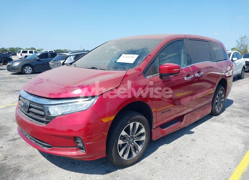 Photo 2 of 2024 Honda Odyssey EX-L (VIN 5FNRL6H67RB012753)