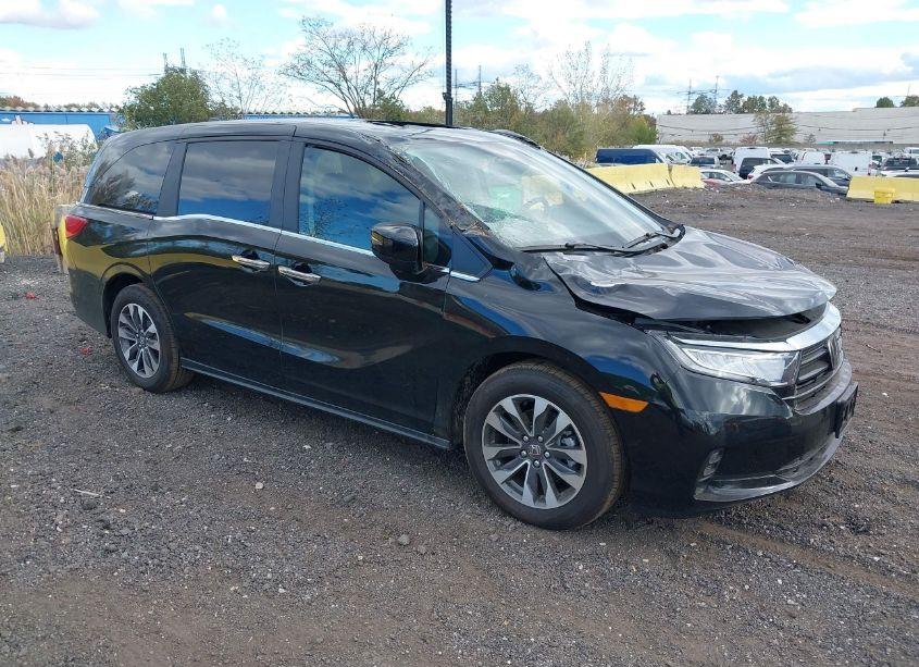 2024 Honda Odyssey EX-L (VIN 5FNRL6H67RB072192) main photo