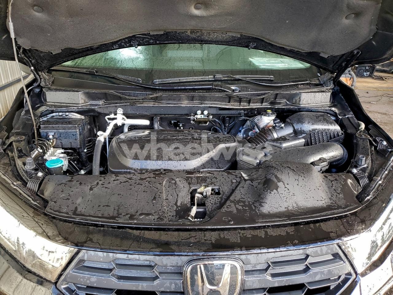 Photo 12 of 2025 HONDA ODYSSEY EXL (VIN 5FNRL6H67SB088432)