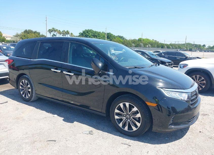 2024 Honda Odyssey EX-L (VIN 5FNRL6H68RB017184) main photo