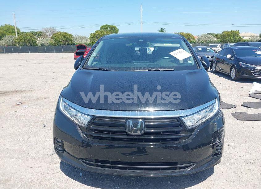 Photo 12 of 2024 Honda Odyssey EX-L (VIN 5FNRL6H68RB017184)