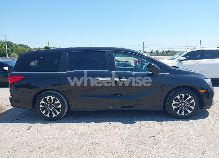 Photo 13 of 2024 Honda Odyssey EX-L (VIN 5FNRL6H68RB017184)