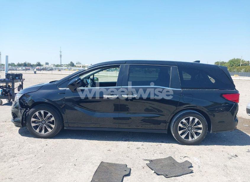 Photo 14 of 2024 Honda Odyssey EX-L (VIN 5FNRL6H68RB017184)