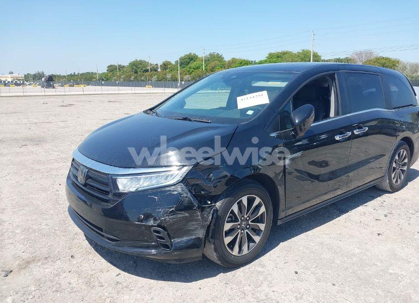 Photo 2 of 2024 Honda Odyssey EX-L (VIN 5FNRL6H68RB017184)