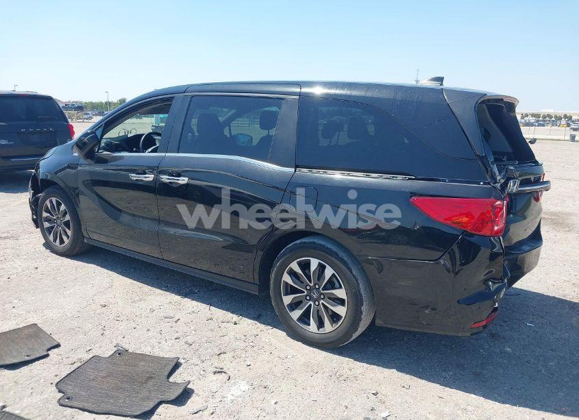 Photo 3 of 2024 Honda Odyssey EX-L (VIN 5FNRL6H68RB017184)