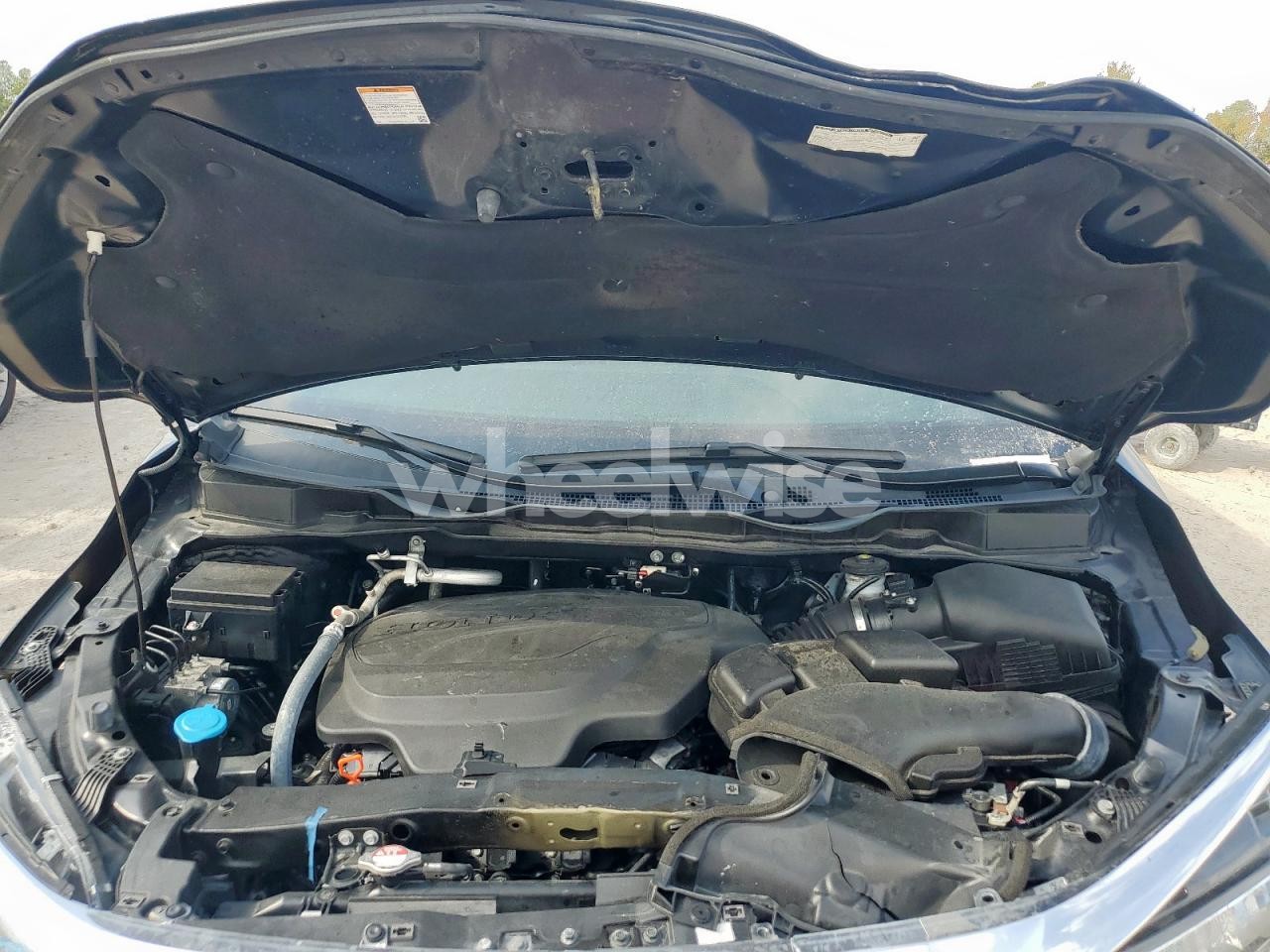 Photo 12 of 2024 HONDA ODYSSEY EXL (VIN 5FNRL6H68RB065834)