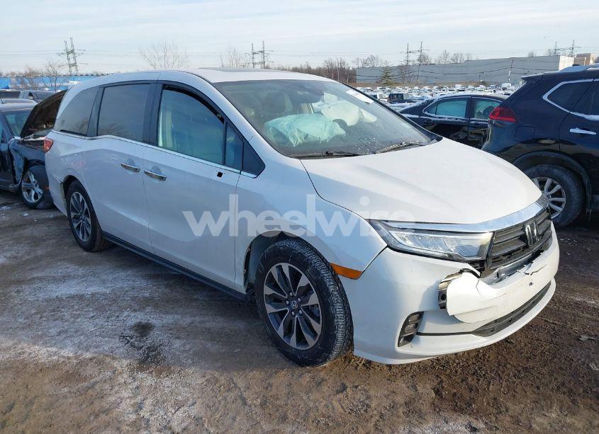 2024 Honda Odyssey EX-L (VIN 5FNRL6H68RB069530) main photo