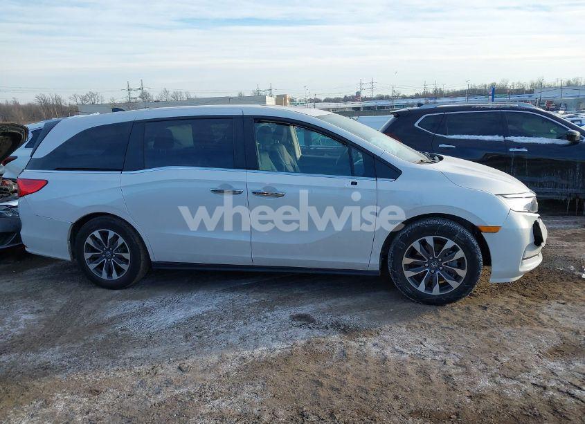 Photo 13 of 2024 Honda Odyssey EX-L (VIN 5FNRL6H68RB069530)