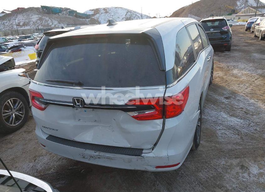 Photo 16 of 2024 Honda Odyssey EX-L (VIN 5FNRL6H68RB069530)