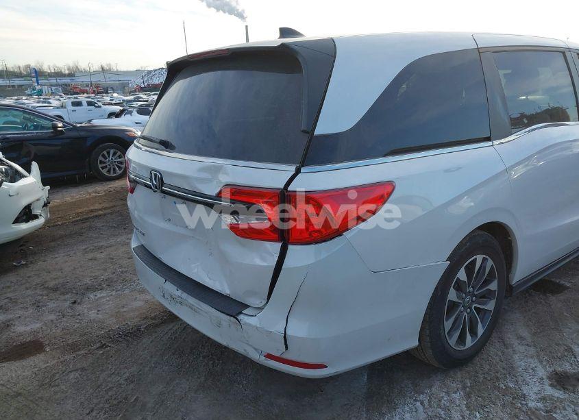 Photo 17 of 2024 Honda Odyssey EX-L (VIN 5FNRL6H68RB069530)