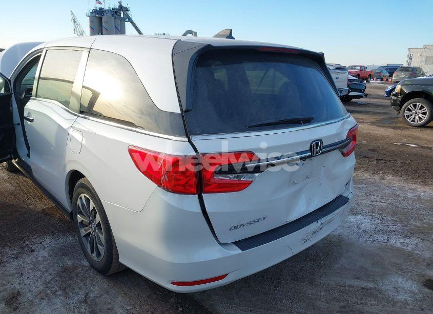 Photo 18 of 2024 Honda Odyssey EX-L (VIN 5FNRL6H68RB069530)