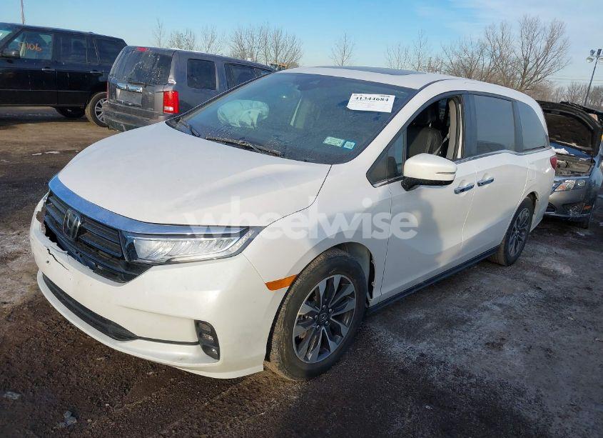 Photo 2 of 2024 Honda Odyssey EX-L (VIN 5FNRL6H68RB069530)