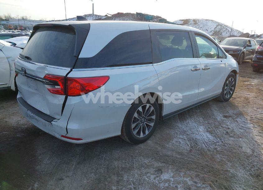 Photo 4 of 2024 Honda Odyssey EX-L (VIN 5FNRL6H68RB069530)