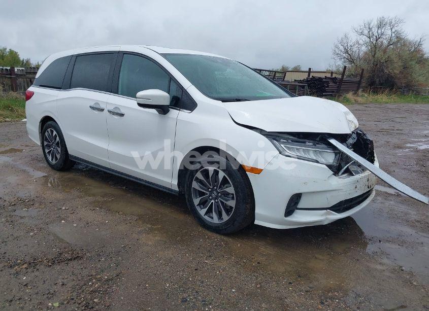 2024 Honda Odyssey EX-L (VIN 5FNRL6H68RB070774) main photo