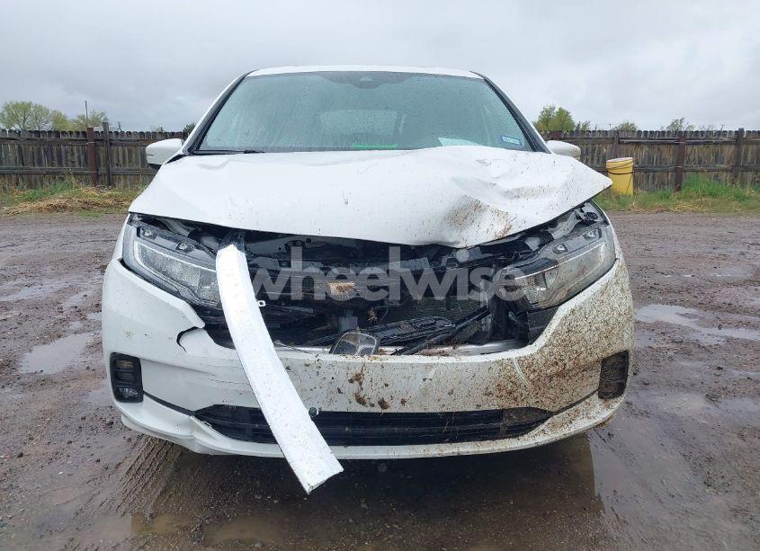 Photo 13 of 2024 Honda Odyssey EX-L (VIN 5FNRL6H68RB070774)