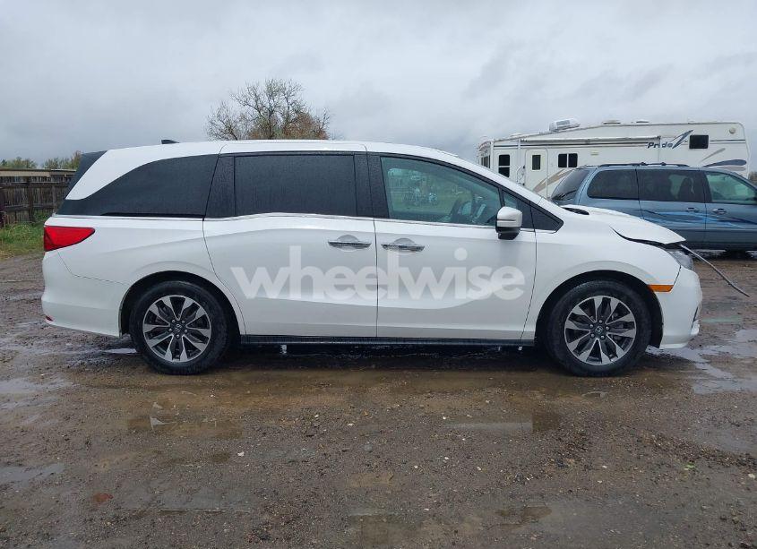 Photo 14 of 2024 Honda Odyssey EX-L (VIN 5FNRL6H68RB070774)