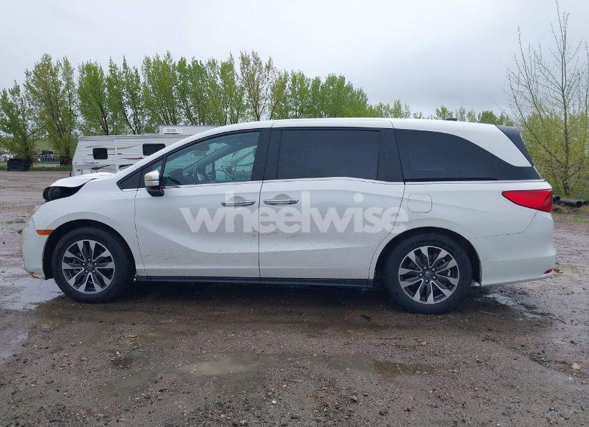Photo 15 of 2024 Honda Odyssey EX-L (VIN 5FNRL6H68RB070774)