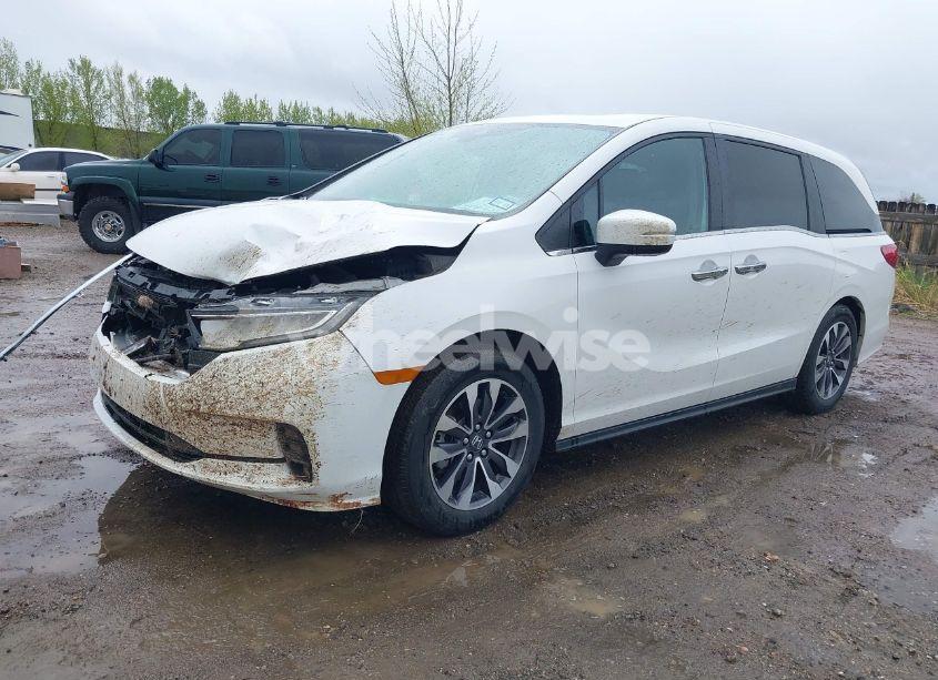 Photo 2 of 2024 Honda Odyssey EX-L (VIN 5FNRL6H68RB070774)