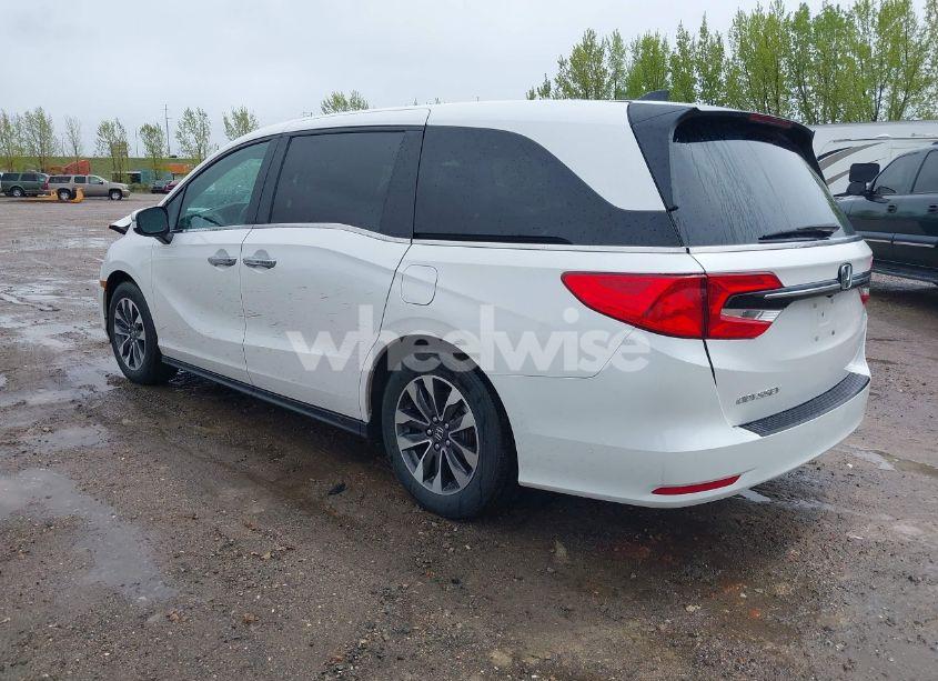 Photo 3 of 2024 Honda Odyssey EX-L (VIN 5FNRL6H68RB070774)