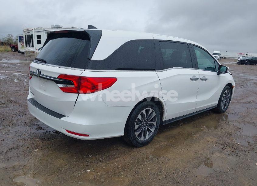 Photo 4 of 2024 Honda Odyssey EX-L (VIN 5FNRL6H68RB070774)