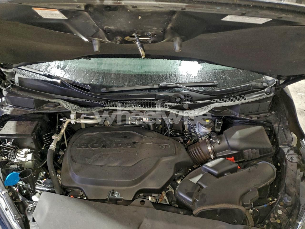 Photo 12 of 2025 HONDA ODYSSEY EXL (VIN 5FNRL6H68SB081697)