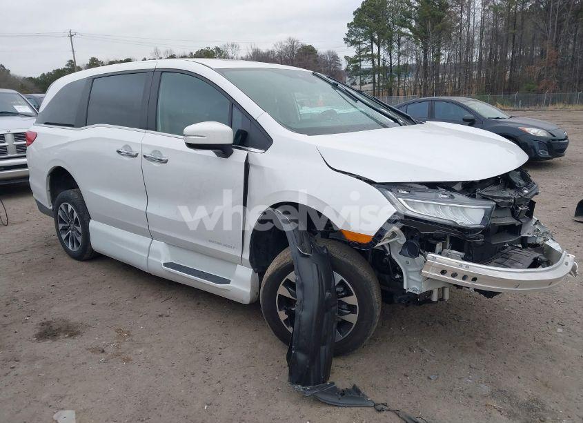 2024 Honda Odyssey EX-L (VIN 5FNRL6H69RB038299) main photo