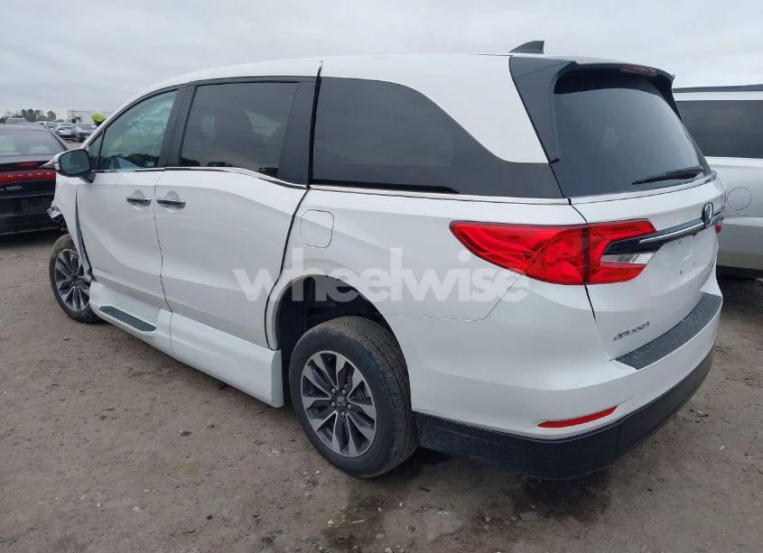 Photo 3 of 2024 Honda Odyssey EX-L (VIN 5FNRL6H69RB038299)