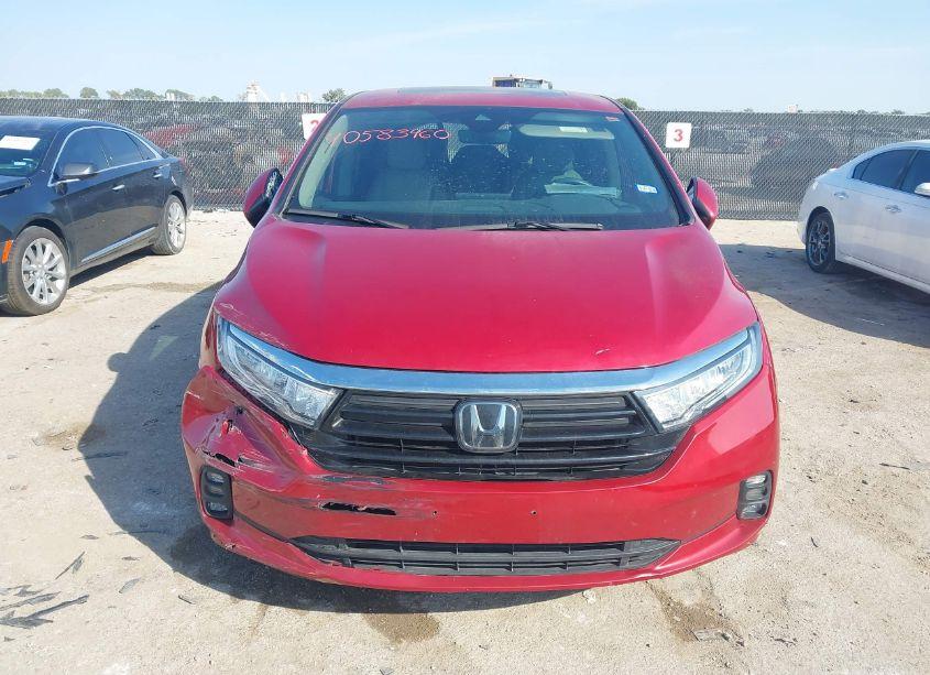 Photo 12 of 2023 Honda Odyssey EX-L (VIN 5FNRL6H6XPB025560)