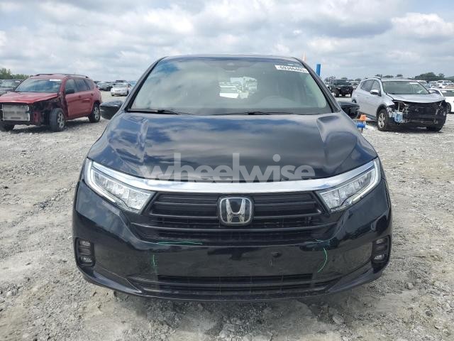 Photo 11 of 2024 HONDA ODYSSEY EXL (VIN 5FNRL6H6XRB006171)