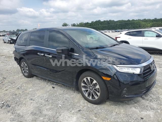 Photo 6 of 2024 HONDA ODYSSEY EXL (VIN 5FNRL6H6XRB006171)