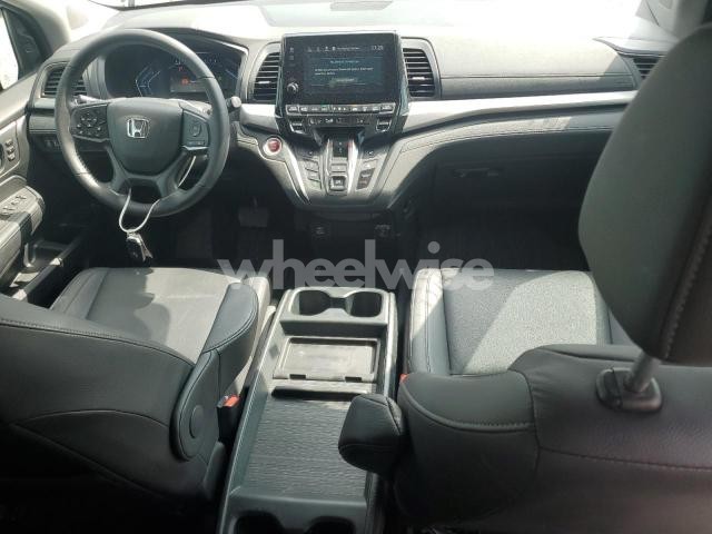 Photo 8 of 2024 HONDA ODYSSEY EXL (VIN 5FNRL6H6XRB006171)