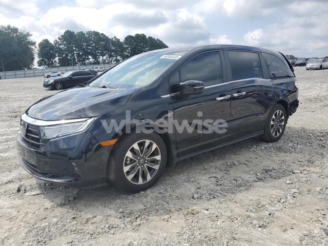 Photo 9 of 2024 HONDA ODYSSEY EXL (VIN 5FNRL6H6XRB006171)