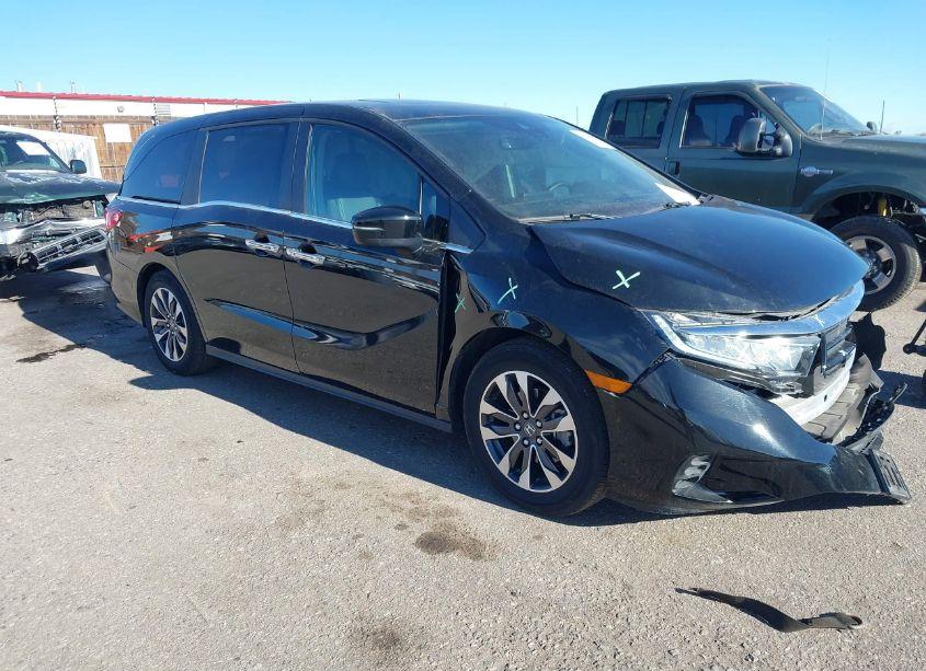 2024 Honda Odyssey EX-L (VIN 5FNRL6H6XRB050266) main photo