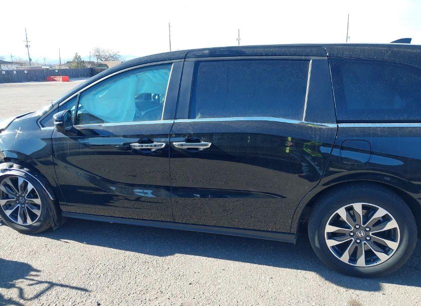 Photo 14 of 2024 Honda Odyssey EX-L (VIN 5FNRL6H6XRB050266)