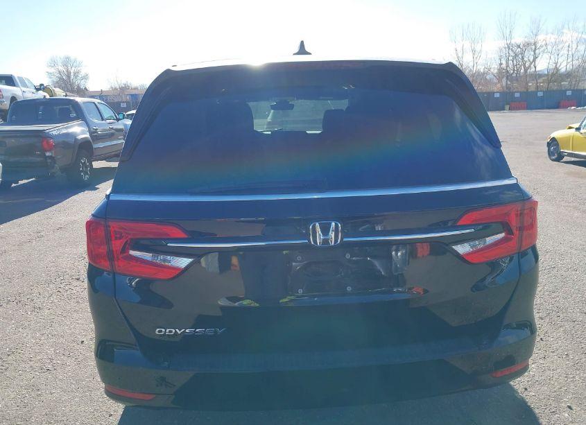 Photo 16 of 2024 Honda Odyssey EX-L (VIN 5FNRL6H6XRB050266)