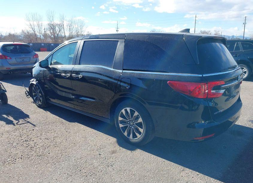 Photo 3 of 2024 Honda Odyssey EX-L (VIN 5FNRL6H6XRB050266)