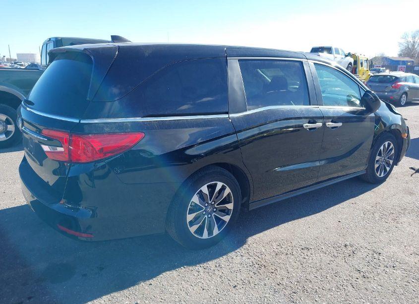Photo 4 of 2024 Honda Odyssey EX-L (VIN 5FNRL6H6XRB050266)