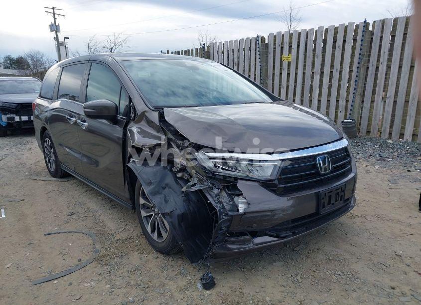 2021 Honda Odyssey EX-L (VIN 5FNRL6H70MB022557) main photo