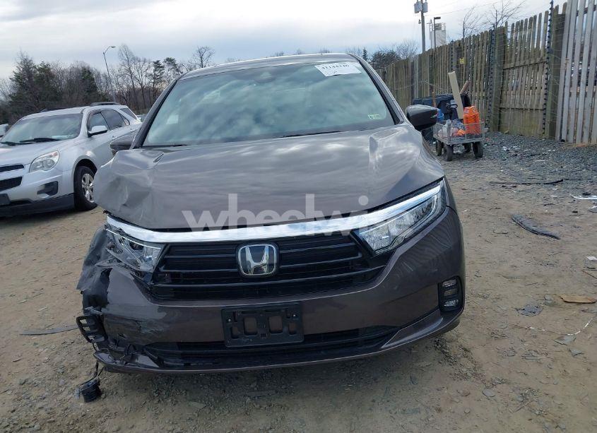 Photo 12 of 2021 Honda Odyssey EX-L (VIN 5FNRL6H70MB022557)