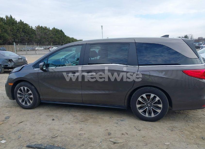 Photo 14 of 2021 Honda Odyssey EX-L (VIN 5FNRL6H70MB022557)