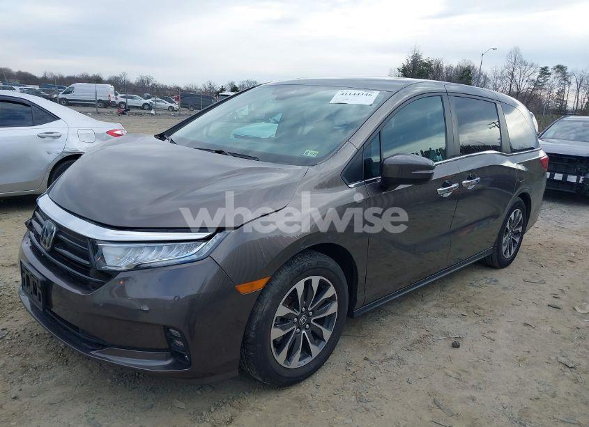 Photo 2 of 2021 Honda Odyssey EX-L (VIN 5FNRL6H70MB022557)