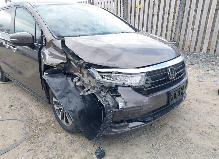 Photo 6 of 2021 Honda Odyssey EX-L (VIN 5FNRL6H70MB022557)